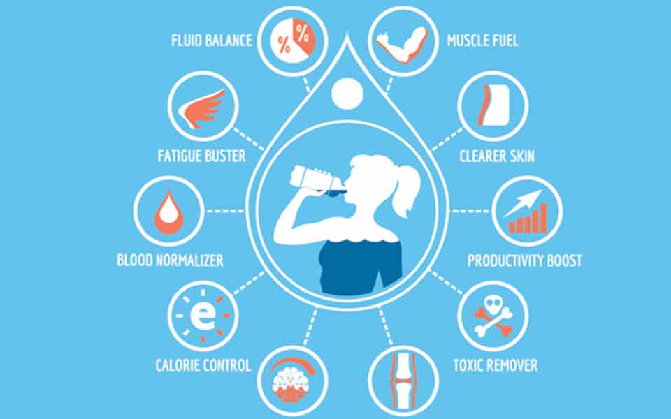 Body Functions and Hydration ReHydrate Pro